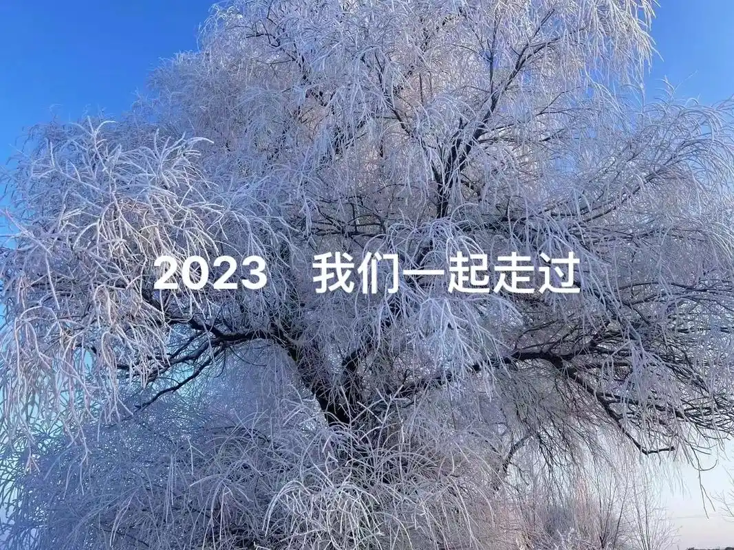 2023我们一起走过