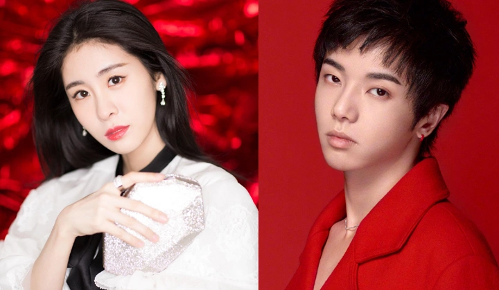 张碧晨怀孕离开华晨宇真实原因呼之欲出她恐成第三者