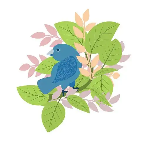 小鸟插画插画_小鸟插画手绘插画设计网