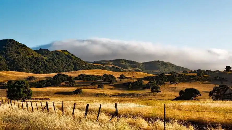精选清新护眼自然风景桌面壁纸