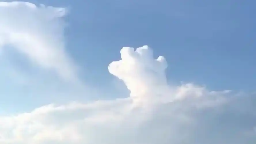 无意间拍到天空中的云,形状竟像一只猫爪子,简直太有趣了