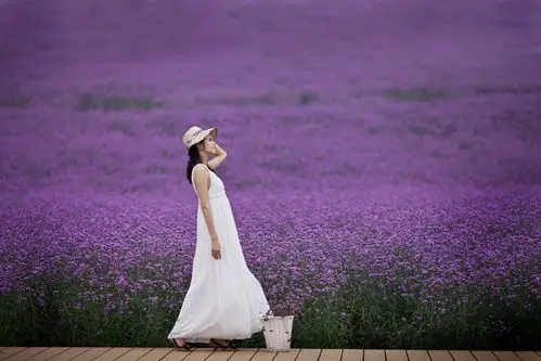 【紫色梦摄影图片】成都 双流太平镇人像摄影_太平洋电脑网摄影部落