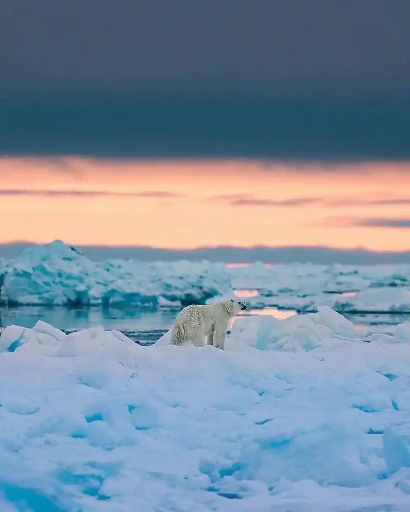 照片由@renan_oztu拍摄于环航挪威斯瓦尔巴群岛期间. - 抖音