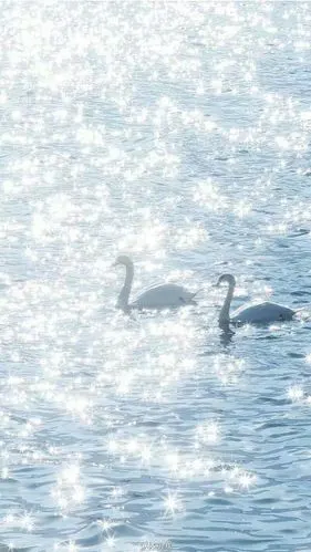 手机壁纸 qq聊天皮肤 背景 动漫 锁屏 简单 可爱 小清新 简洁 黑底