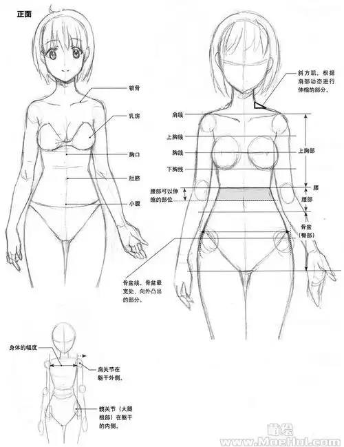 美少女漫画入门30学习人体结构画出有魅力的身体