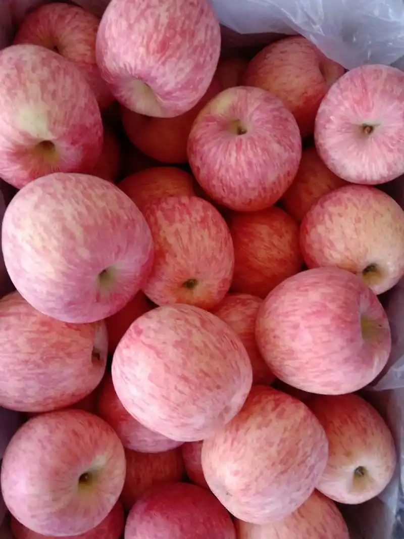 水果强者甘肃苹果 #红富士苹果 #糖心苹果 #创业路上的我 - 兑趑