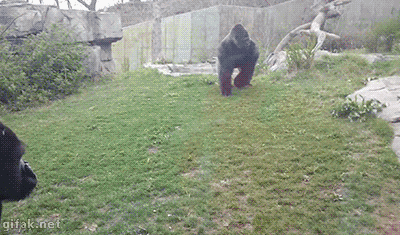 如何拍出一部生动的教学片午间动态图送到