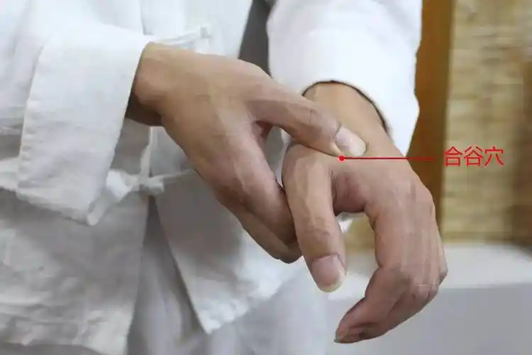 属手太阴肺经,位于第1掌骨中点桡侧,赤白肉际处,有拇短展肌和拇指对掌