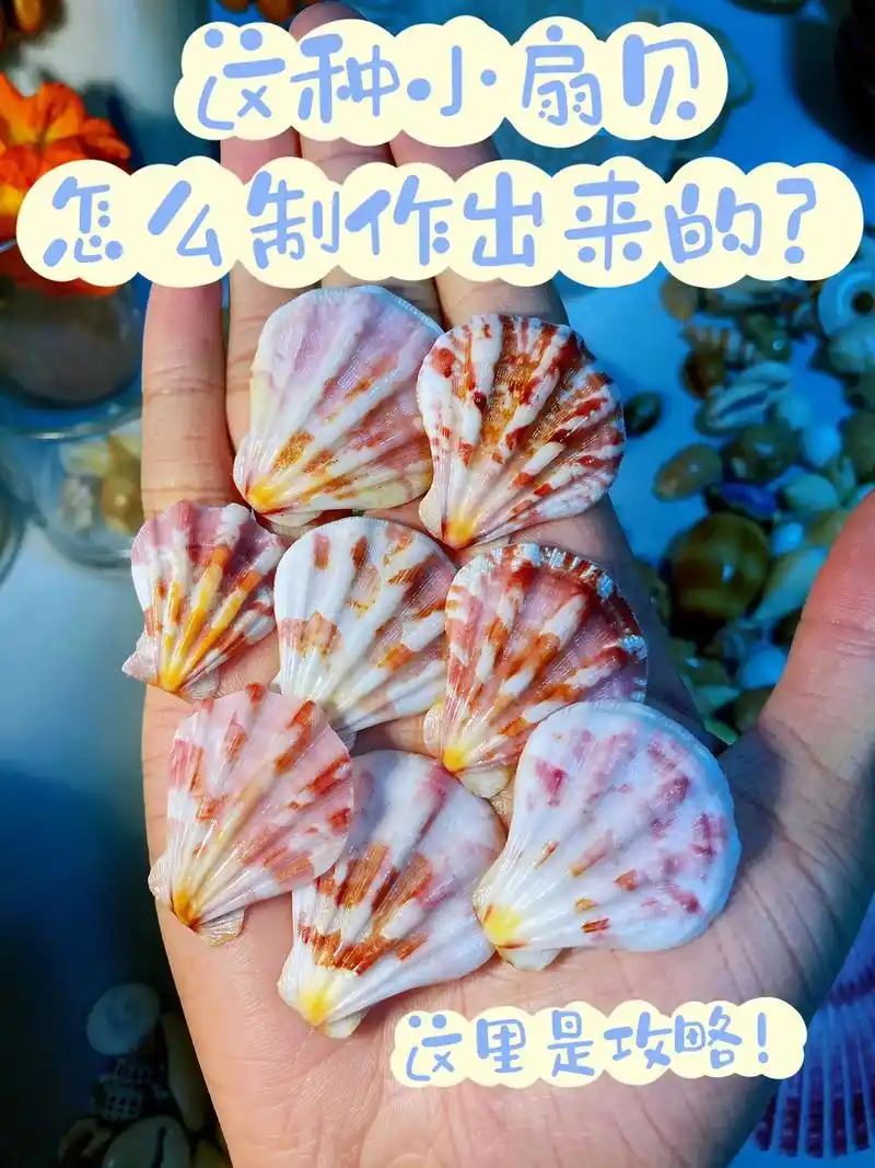 这种五彩斑斓的小扇贝壳是怎么制作出来的