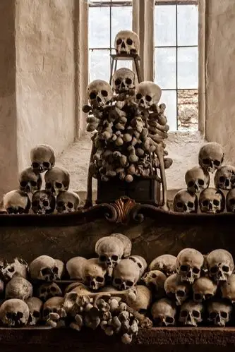 壁纸 头骨,恐怖 1920x1200 hd 高清壁纸, 图片, 照片