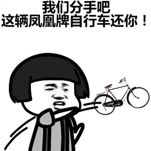我们分手吧,这辆凤凰牌自行车还你