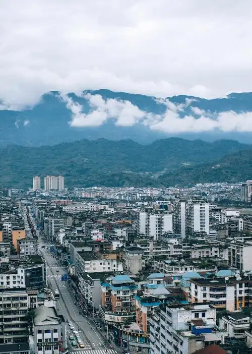 原创完了!雅安遍地大熊猫的事瞒不住了