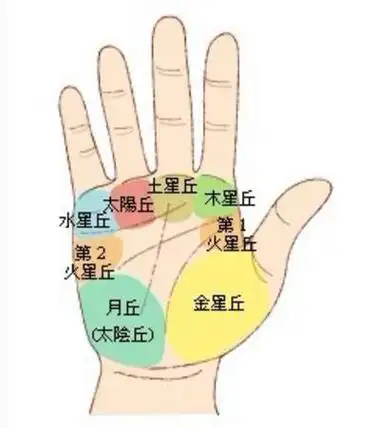 三大纹路,八大丘,五大线纹,你知道自己手相的这些奥秘吗?