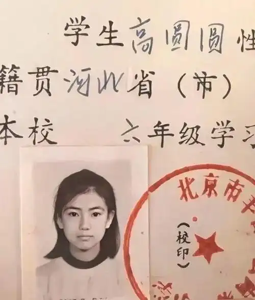 高圆圆小学证件照遭疯传高颜值气质佳真是浑然天成从小美到大