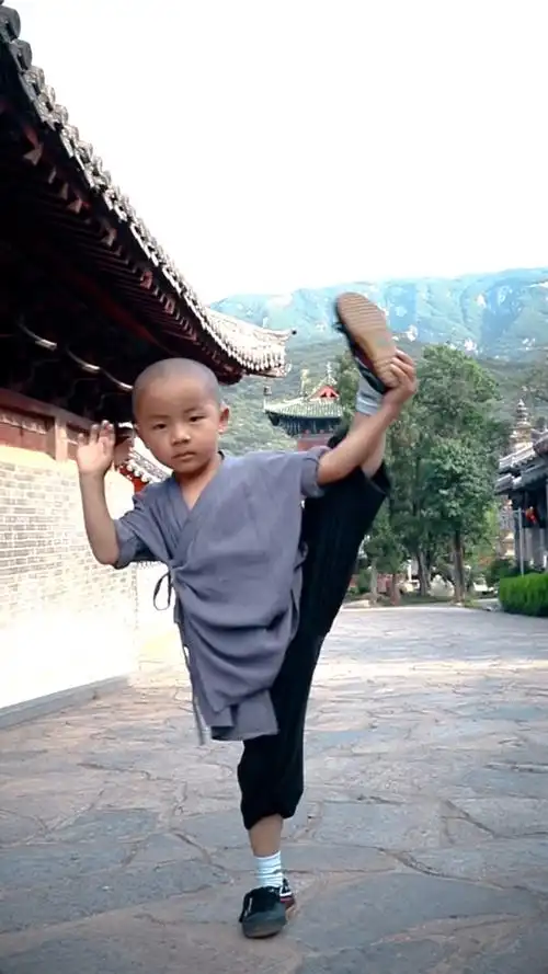 少林功夫#师父给我说梦里我也在练功,我还不信,看到这个我信了!
