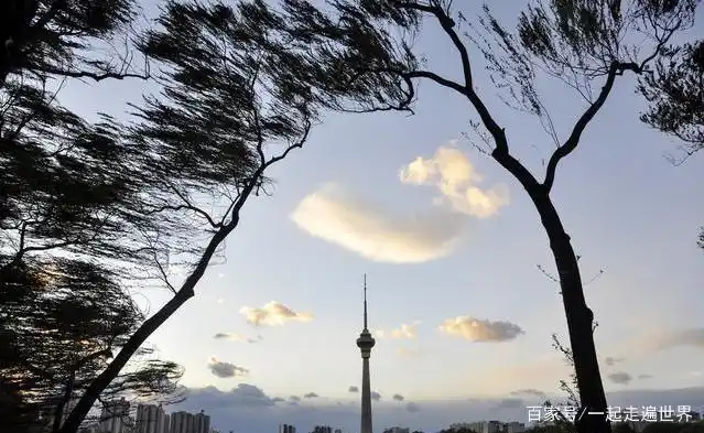 北京最强大风来袭,朋友说:差点被风吹倒