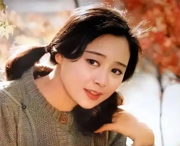 80年代内地影坛的十大美女,个个风姿绰约,李秀明仅排第三_影片_陈冲