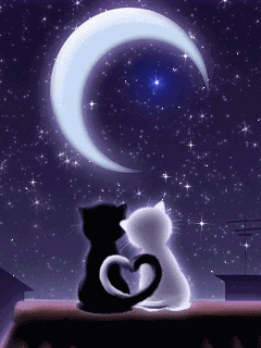 240_320竖版 竖屏gif 动态图 动图