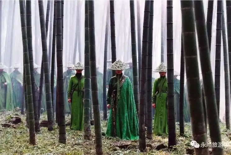 除了刘德华章子怡的十面埋伏还有三部在永川拍摄电影即将全国公映