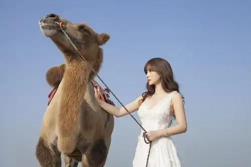 柳岩代言wca 史上最美电竞女神从wca2014开篇