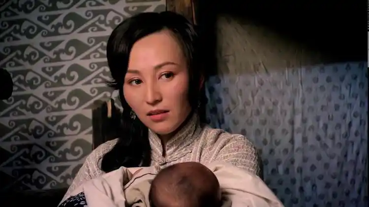 铁梨花秋香把儿子换了却瞒着梨花梨花你儿子长得像我