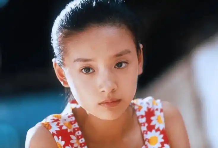 10年后才明白董洁和潘粤明离婚为什么那么决绝