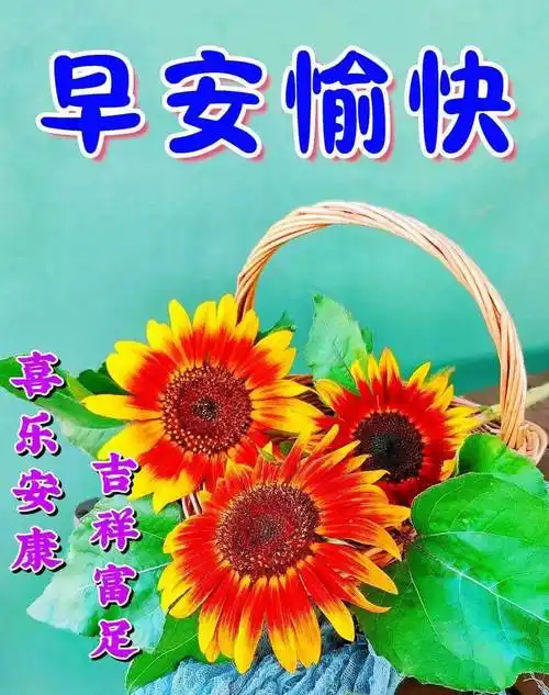 2023年7月3日周一最新早安问候祝福图片带字温馨 周一早上好问候祝福