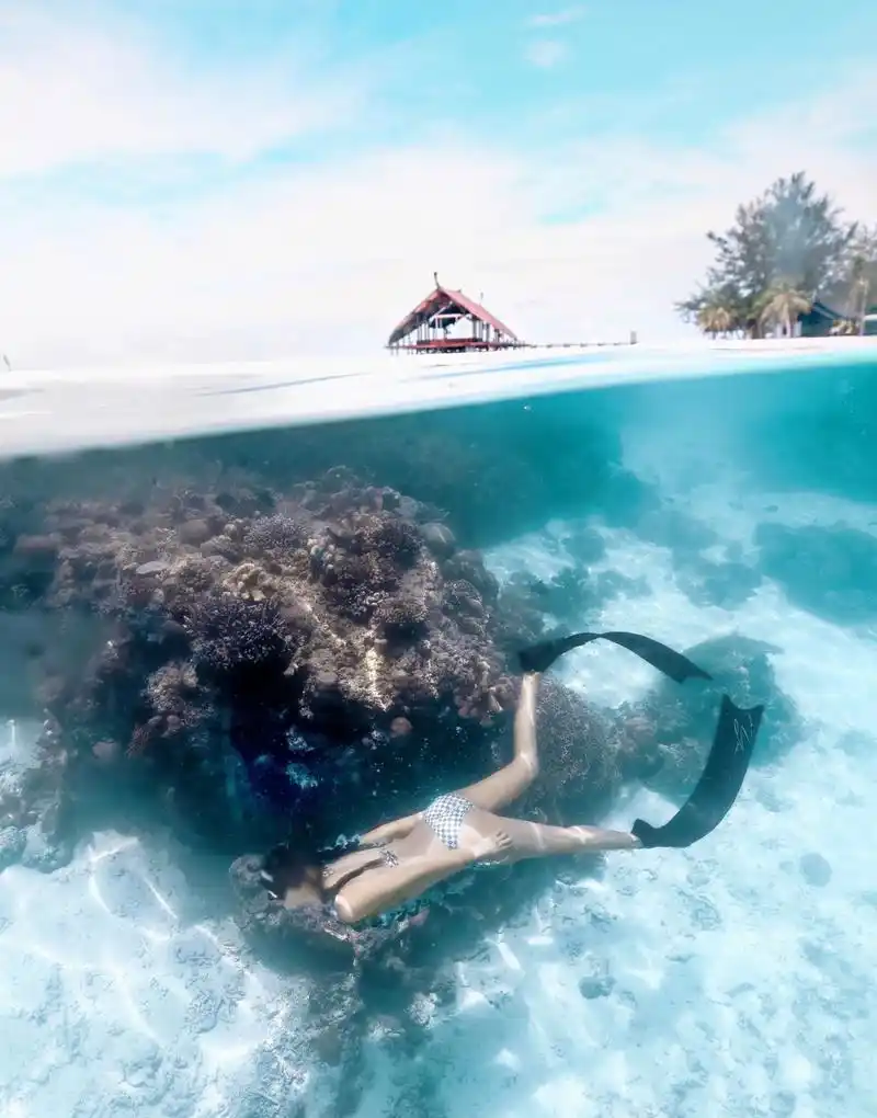 【潜水】美丽而神秘的美人鱼,畅游梦幻绚丽,唯美浪漫的海底世界.