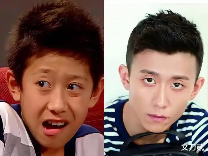 《家有儿女》的刘星一角,但在刘星之前,9岁的张一山就凭借《小兵张嘎