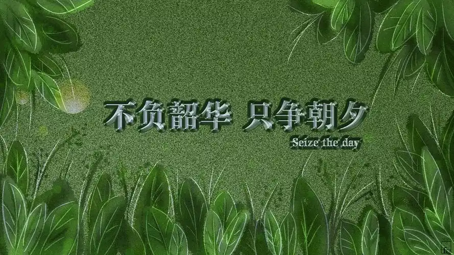 励志名言1920x1080高清电脑壁纸分享