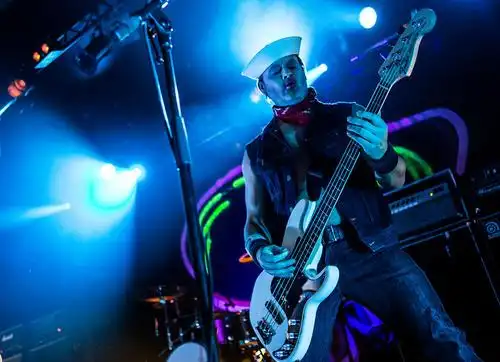 挪威,摇滚,朋克,摇滚乐队,生活方式,音乐会,卑尔根,低音乐器,演奏,苏