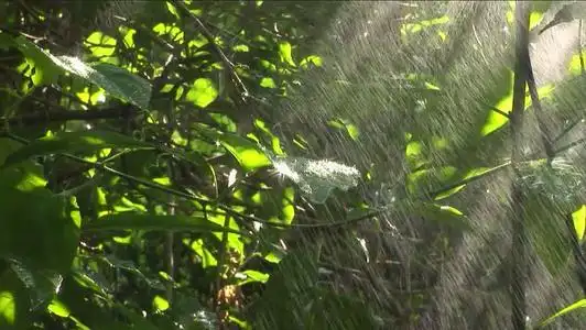关于雨的句子唯美短句下雨天的句子短句唯美