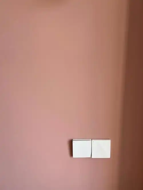 给店家说了怕配色浅,色浆多给了一升,守着师傅调色,出来的褐珊瑚没