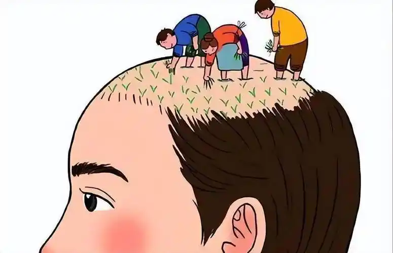 拯救脱发的你_毛发_头发_毛囊