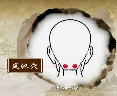 风池穴在后脑勺,后枕部两侧入发际一寸的凹陷中.