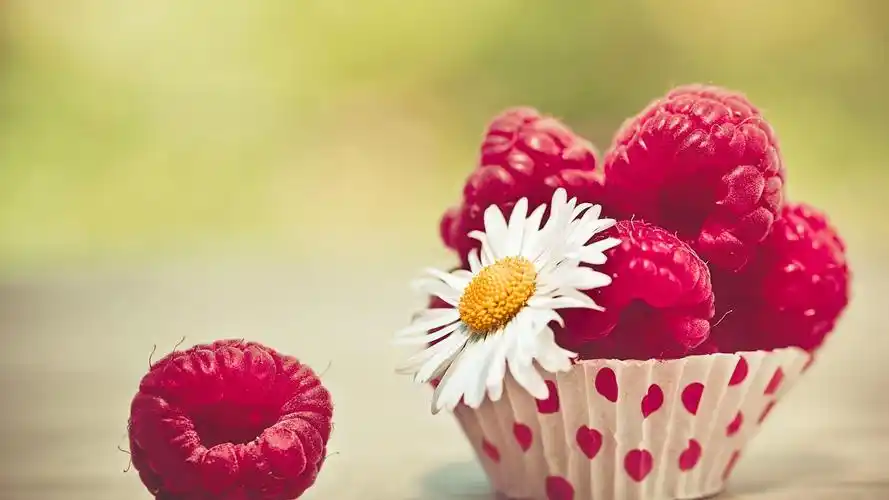 树莓甘菊唯美小清新桌面壁纸高清大图预览1920x1080_风格壁纸下载_美