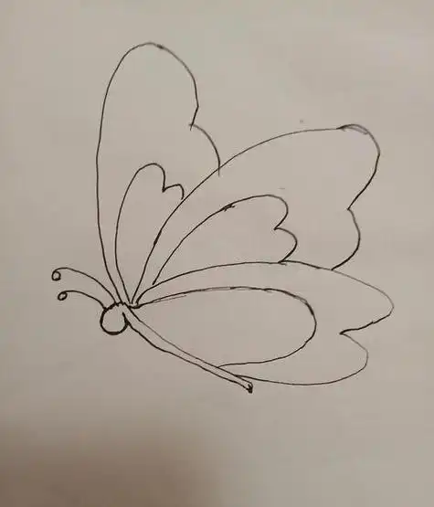 儿童蝴蝶素描简笔画