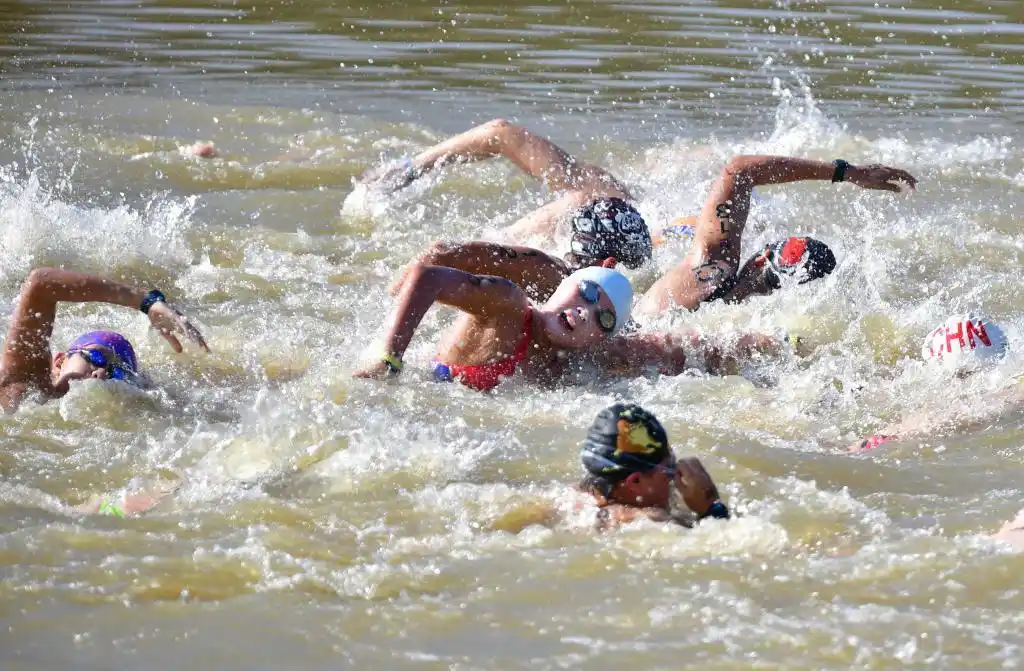 全运会:马拉松游泳女子10公里决赛赛况
