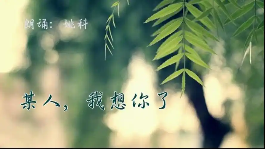 夜听:某人,我想你了