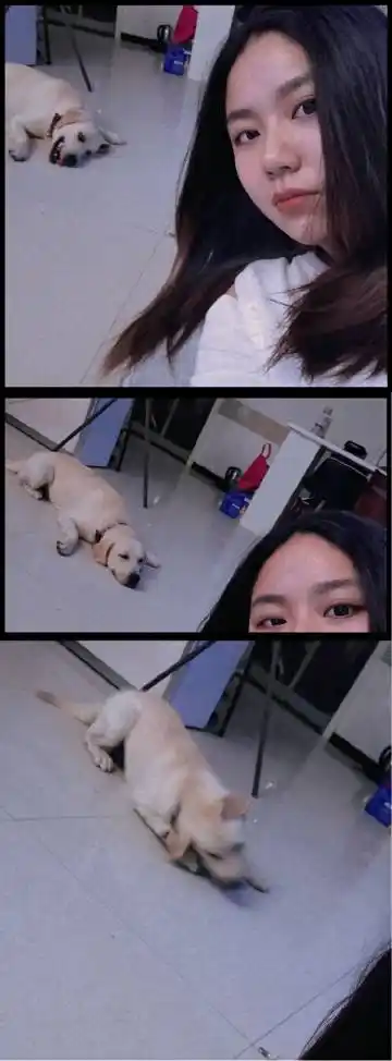 534 粉丝 998 微博 04 查看更多 a 微关系 她的关注(1148) 林华凌