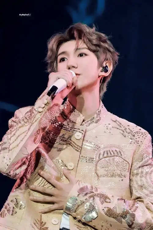 猫眼 退票##王源演唱会抢票