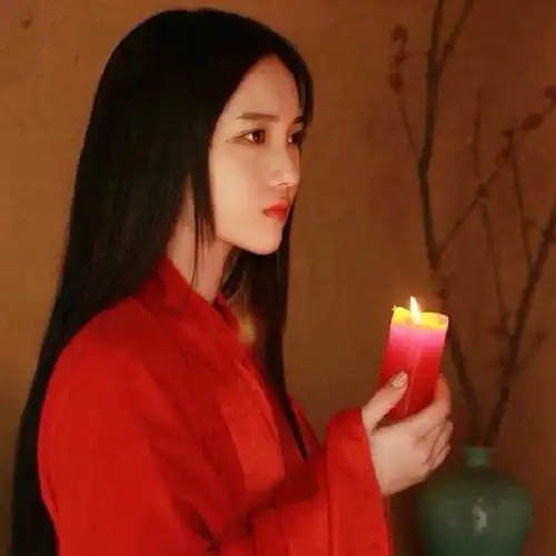 2015年snh48赵嘉敏总选生诞粉丝应援计划