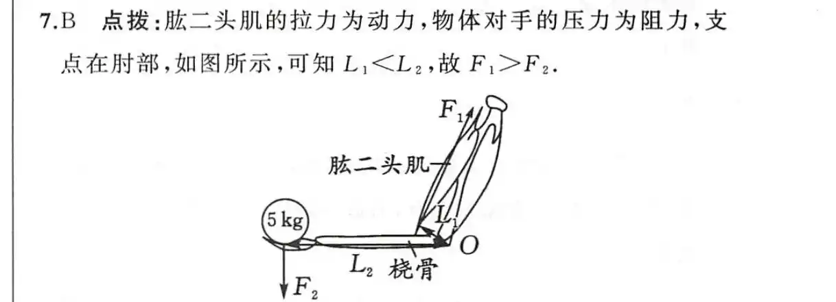 (2018·聊城中考)人体中的许多部位都具有杠杆的功能.