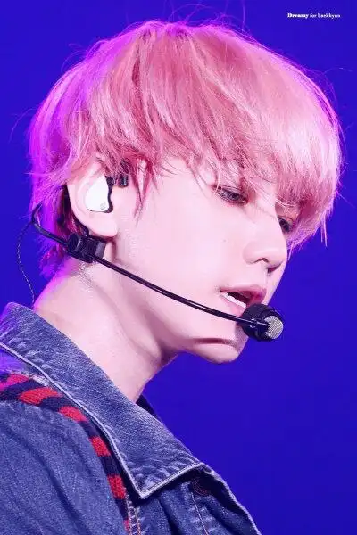 exo 边伯贤 壁纸