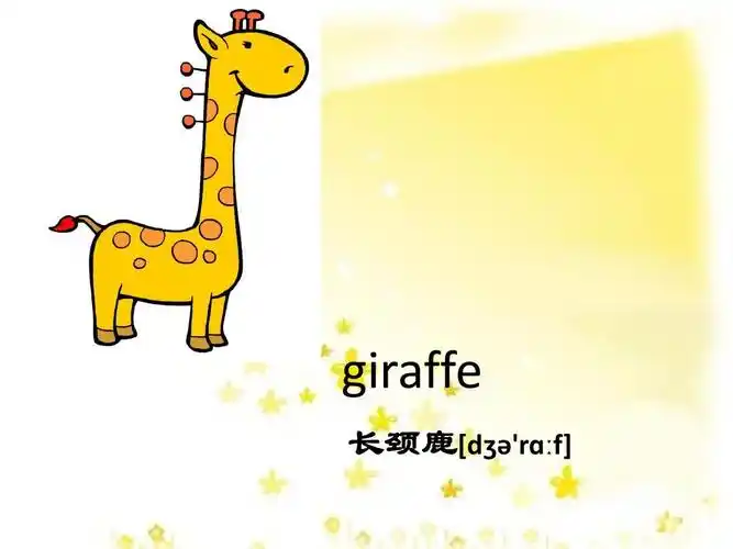 giraffe 长颈鹿*d  rɑ f