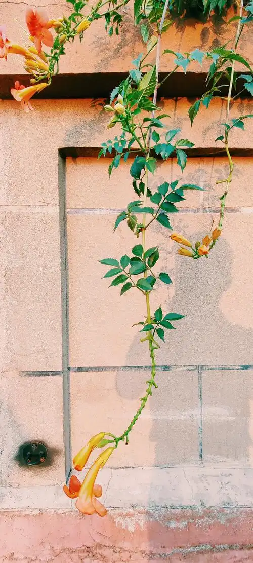 好看有内涵的壁纸