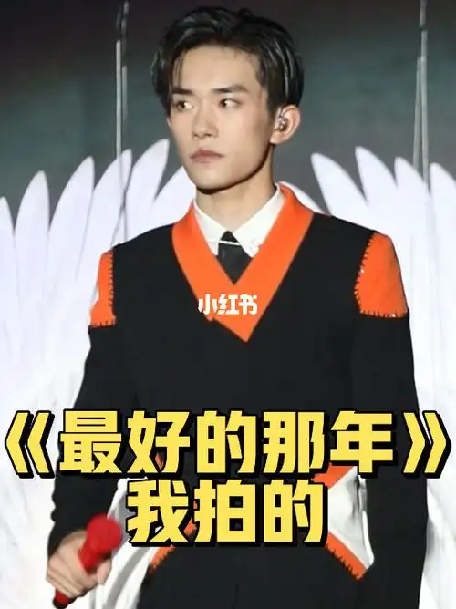 vvvip观众席五周年演唱会易烊千玺直拍