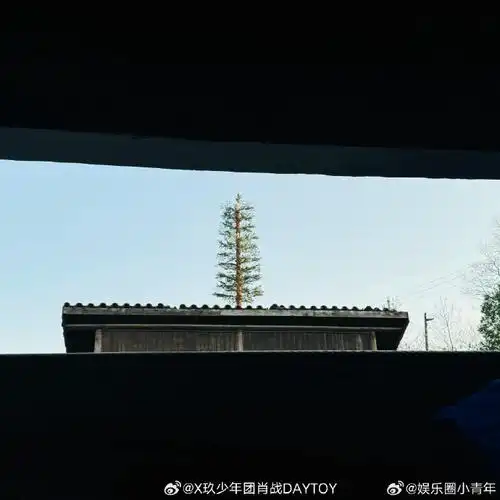 肖战摄影水平#肖战晒自己拍的春分风景照,帅哥这个拍照水平,这个审美