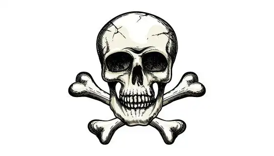 dowebok - 做好网站