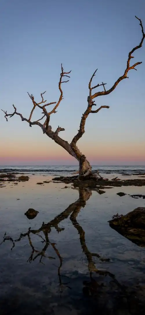 你的壁纸该换了